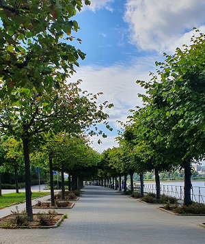 Promenade am Rhein